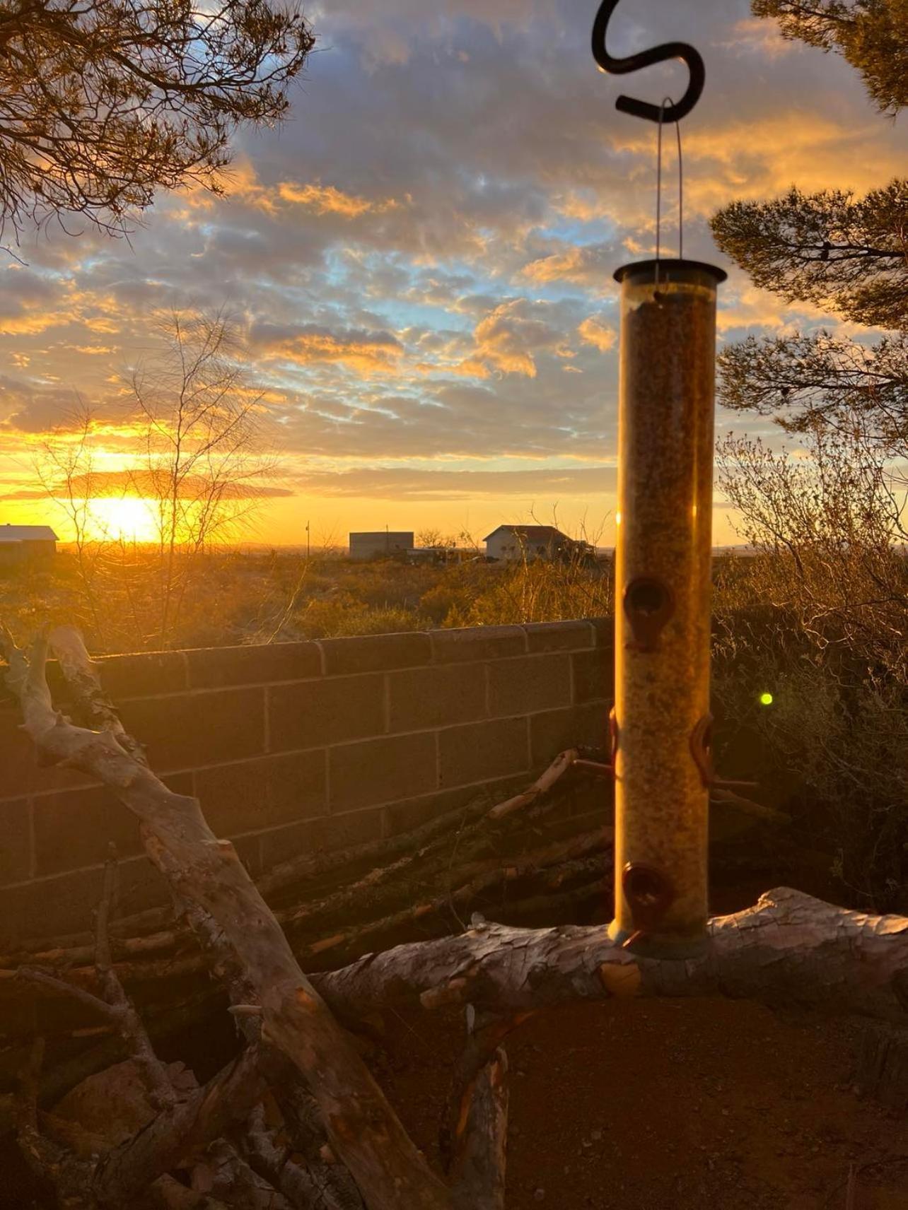 Hole In The Wall Getaway - Usa Mexico Border Bed And Breakfast Columbus Extérieur photo